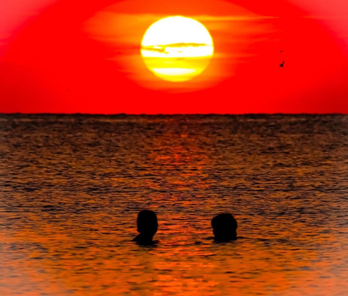 Năvodari Studio La Mare מראה חיצוני תמונה